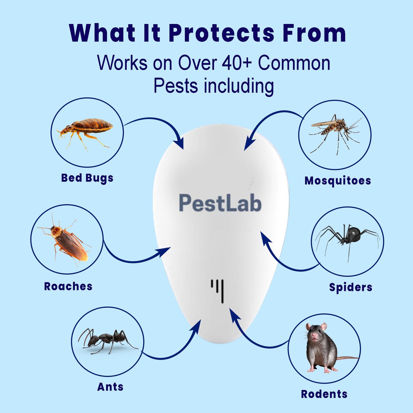 PestLab -  Banish Fleas For Good