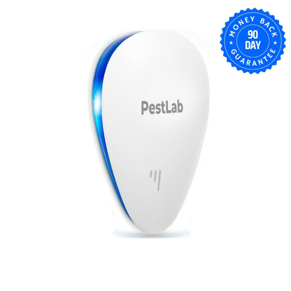 PestLab -  Banish Fleas For Good